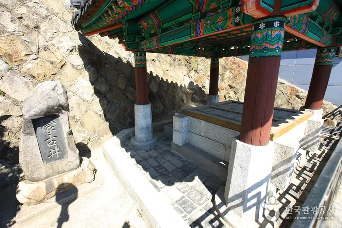 몽고정 (10)