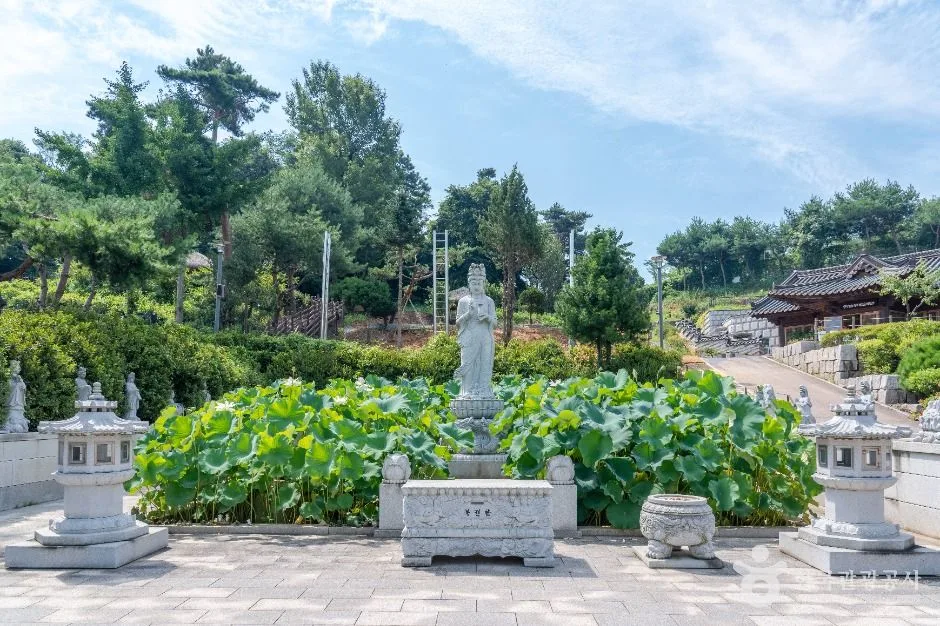 평택_수도사(평택) (1)