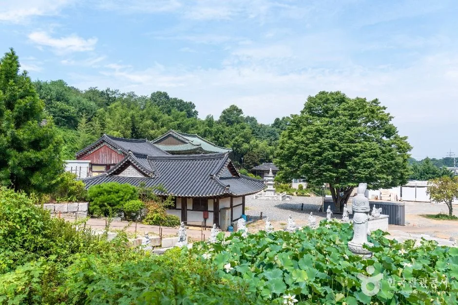 평택_수도사(평택) (2)