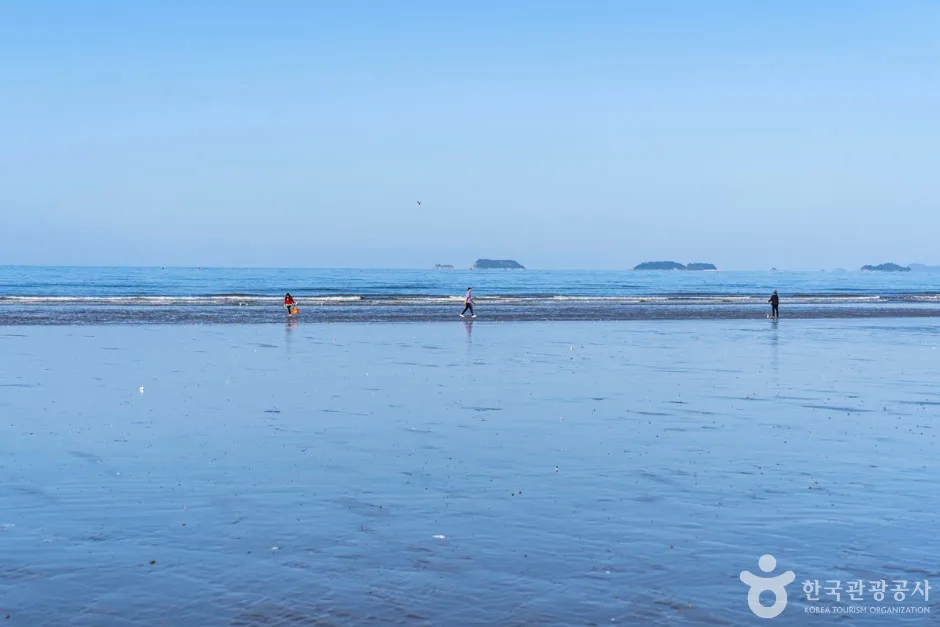 밧개해수욕장 (11)