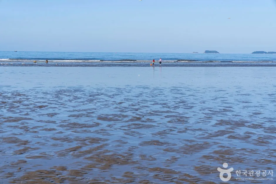 밧개해수욕장 (10)