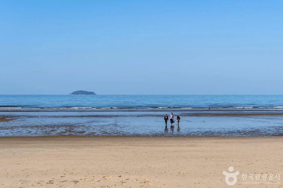 밧개해수욕장 (15)