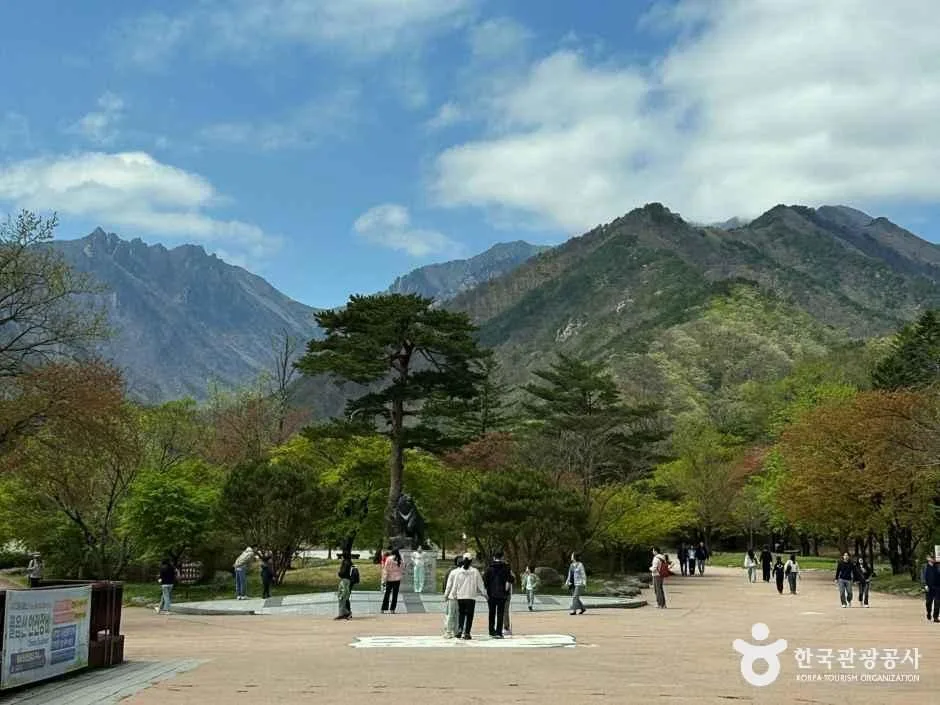 속초_설악산소공원 (8).jpg