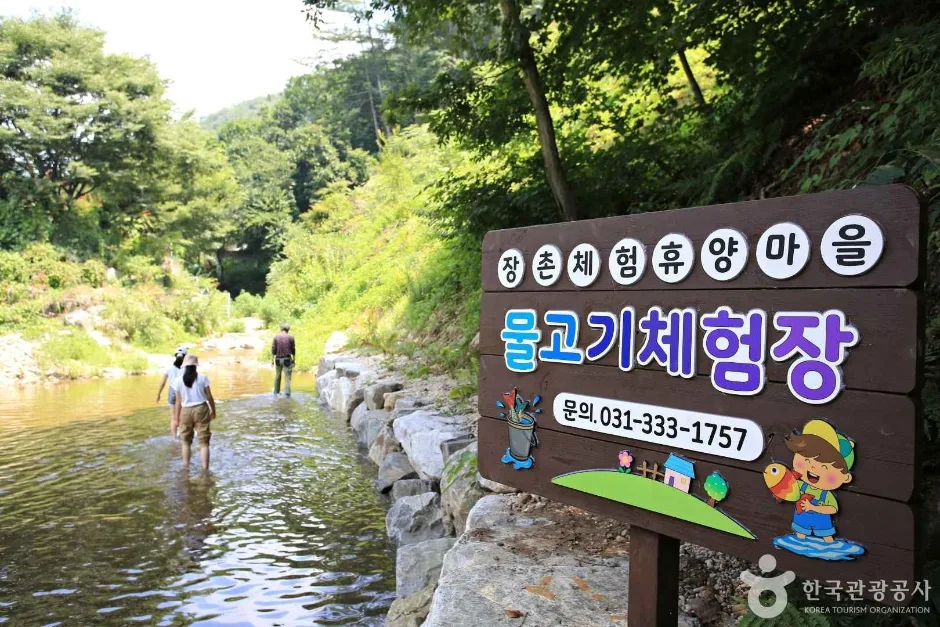 경기_용인_영농조합 장촌마을 (6)
