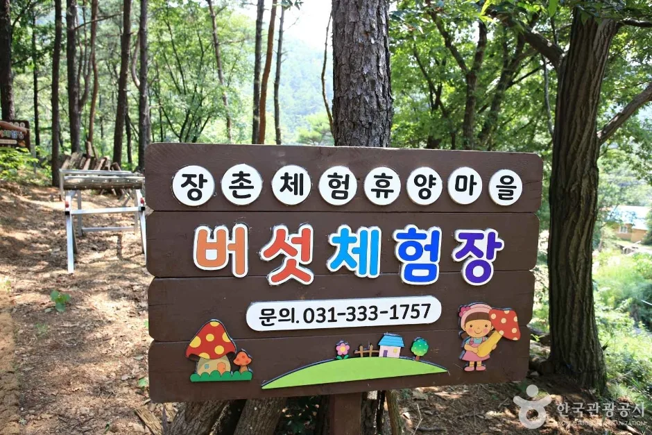 경기_용인_영농조합 장촌마을 (11)