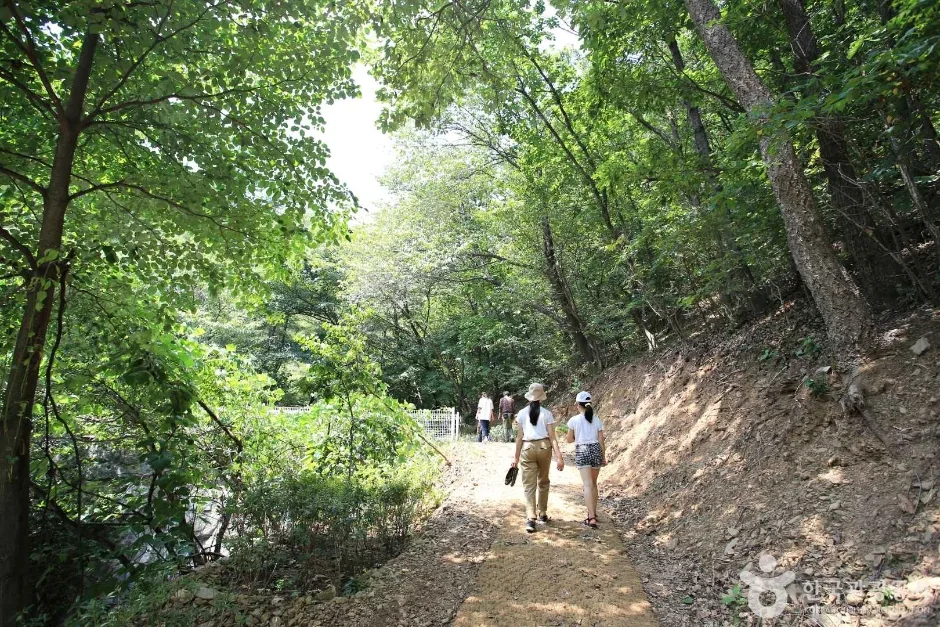 경기_용인_영농조합 장촌마을 (10)