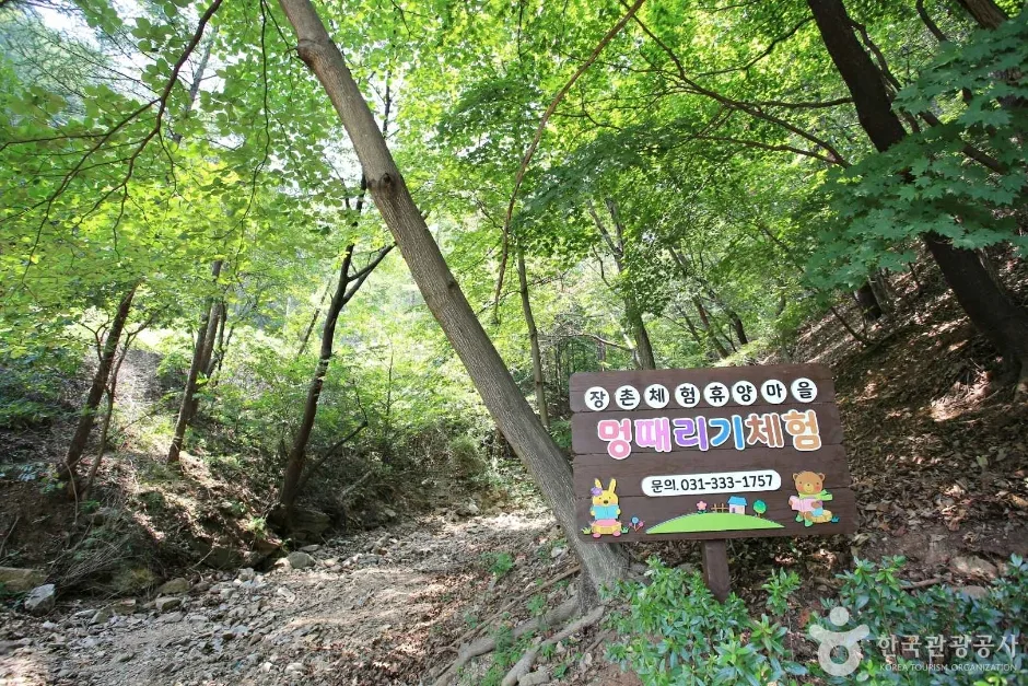경기_용인_영농조합 장촌마을 (9)