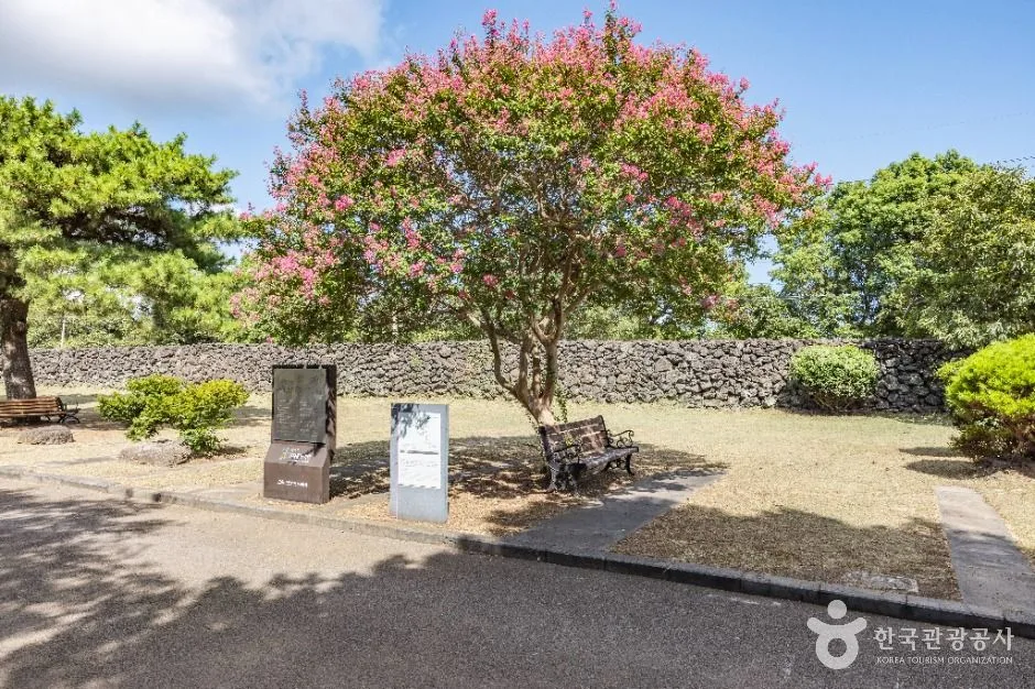 제주_서귀포 김정희 유배지 (1)