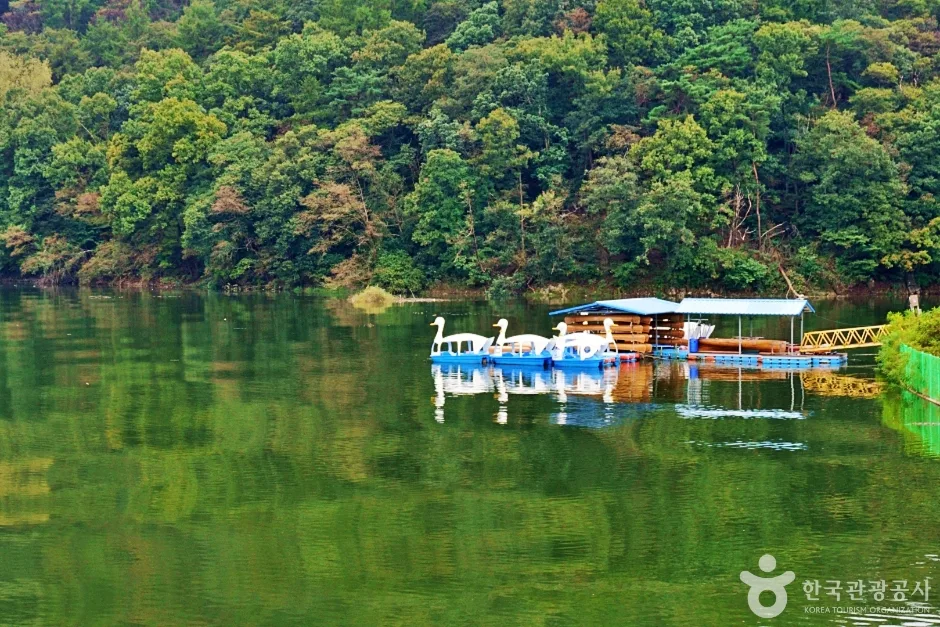 백곡저수지 (15)