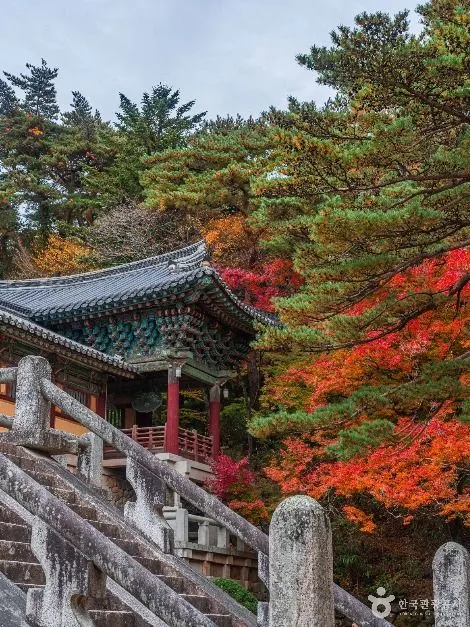 불국사