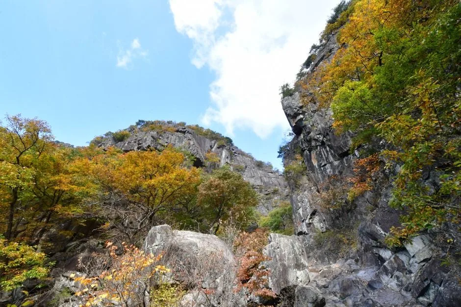 양산_천태산 (7)