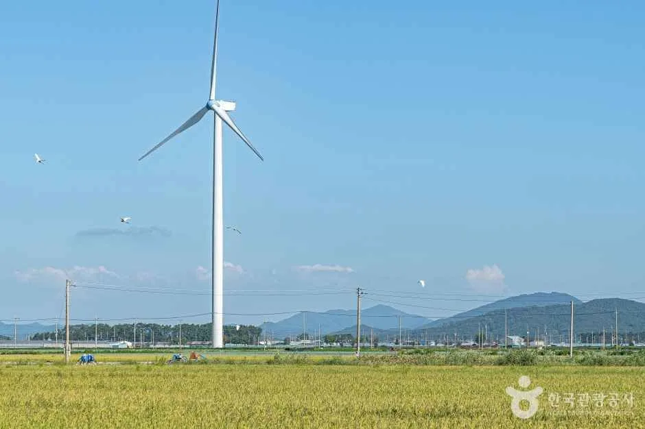 영광풍력발전단지 (2)