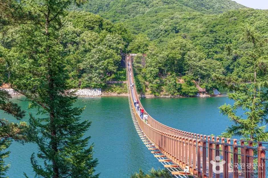 파주의 이색 다리를 따라 걷는 가을 여행_경기_파주_마장호수출렁다리_2.jpg