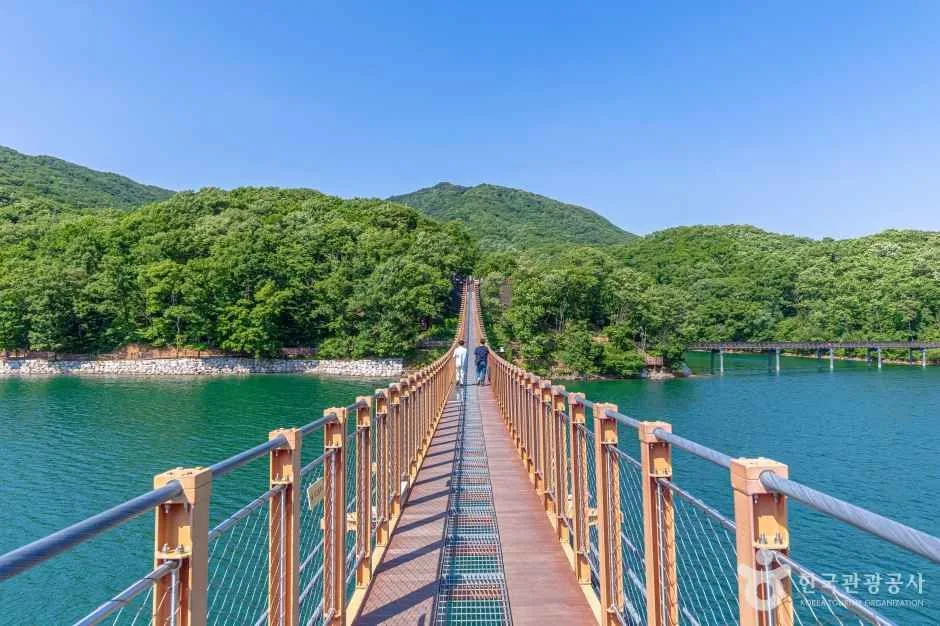 파주의 이색 다리를 따라 걷는 가을 여행_경기_파주_마장호수출렁다리_6.jpg