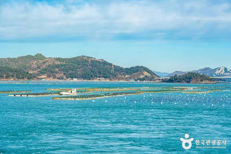 완도_다도해 해상국립공원 (완도) (2).jpg