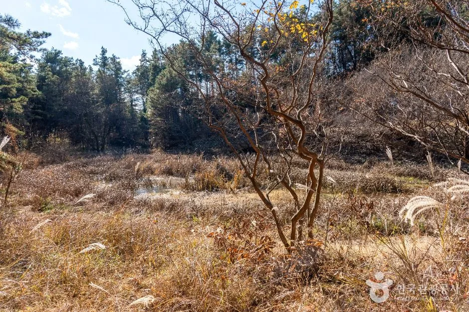 합천_내천못재 (4)