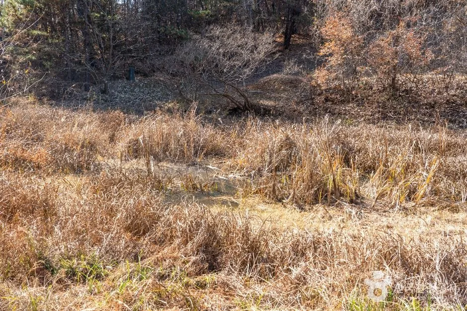 합천_내천못재 (2)
