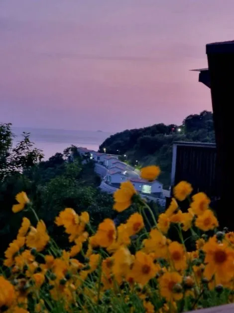 부안_변산자연휴양림 (12)