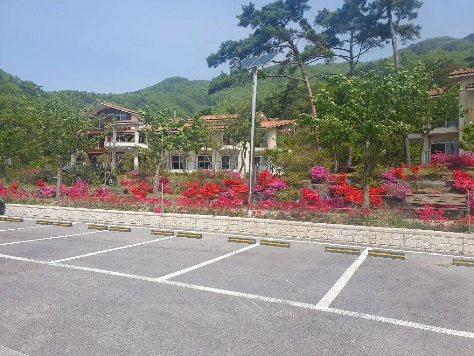 부안_변산자연휴양림 (6)