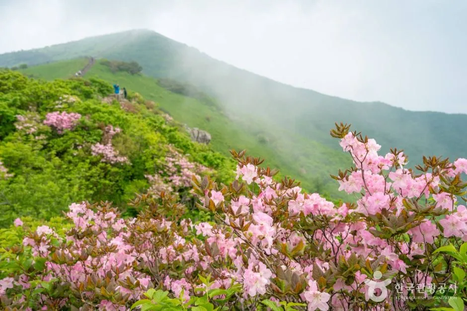 단양_소백산국립공원(북부) (6)