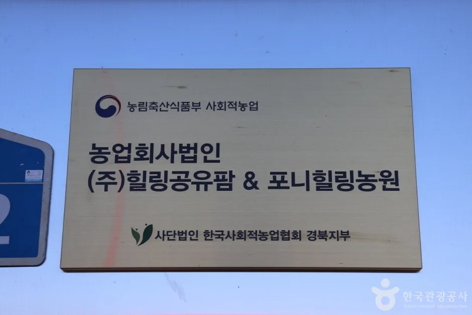 포니힐링관광농원 (4)
