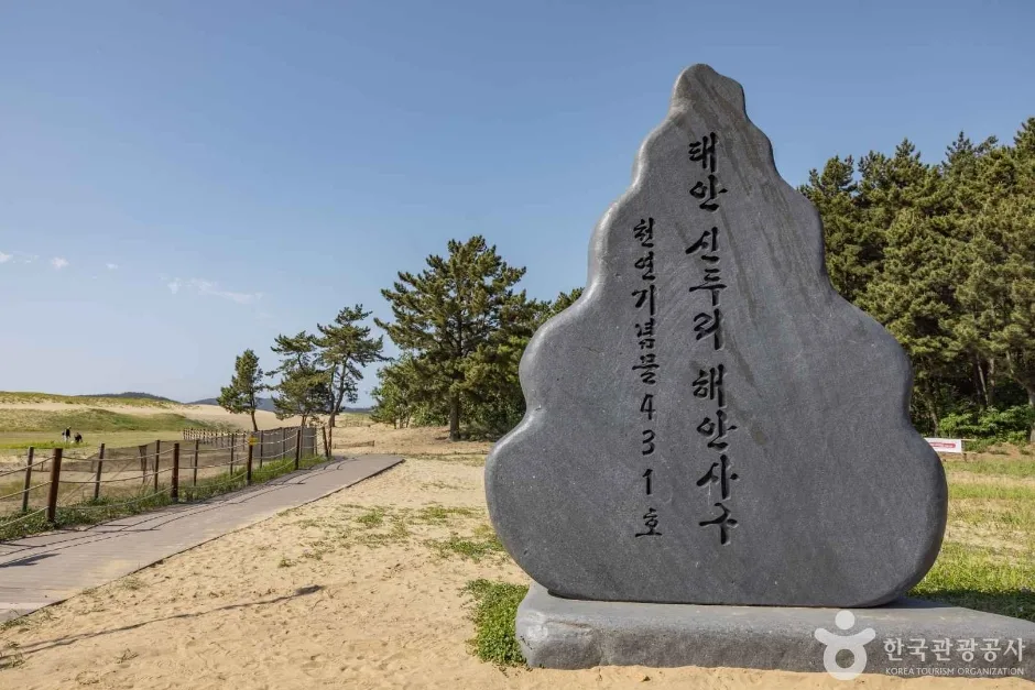 신두사구쉼터공원(신두사구생태공원) (10)