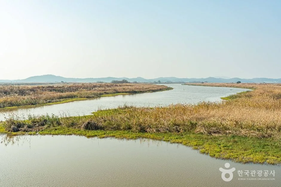 해남_산이반도 (2)