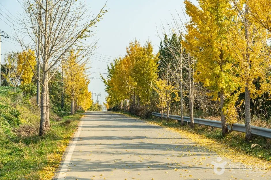 해남_산이반도 (6)