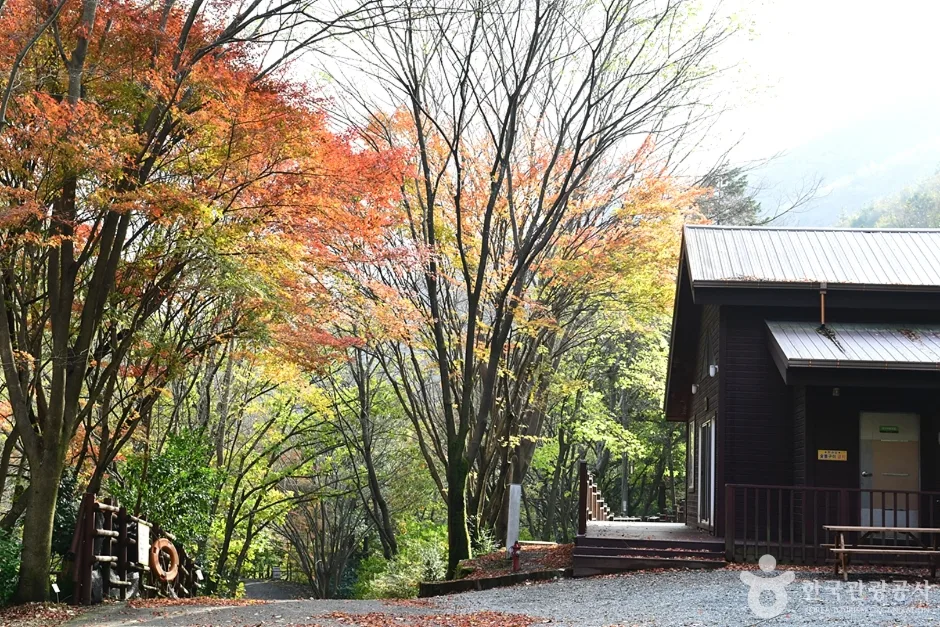전남_장흥_유치자연휴양림 (4)