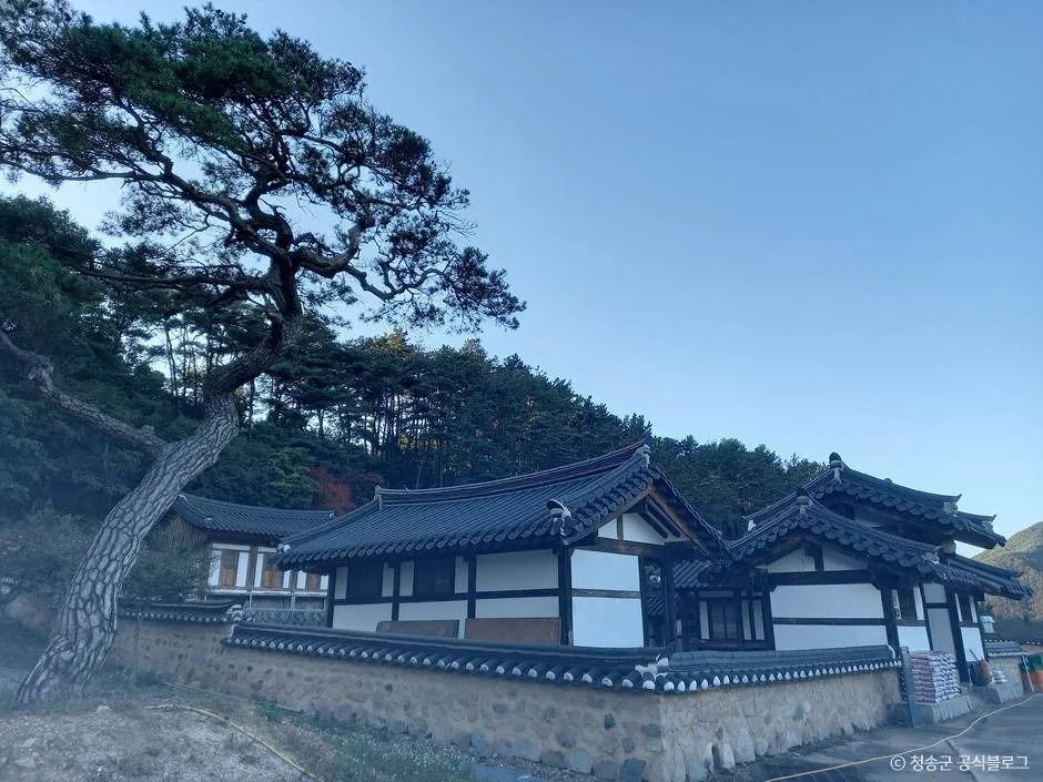 청송_경북 청송 주왕산면·파천면 [슬로시티] (3)