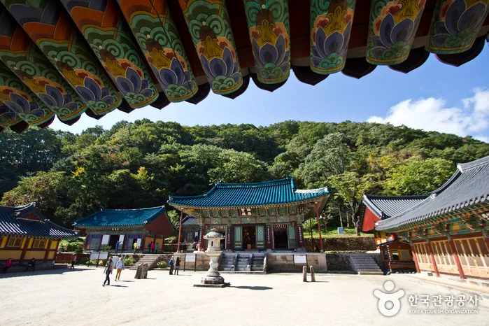족욕공원, 산책로, 설악산을 품에 안다.