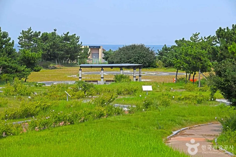 전북_군산_새만금무궁화공원 (3)