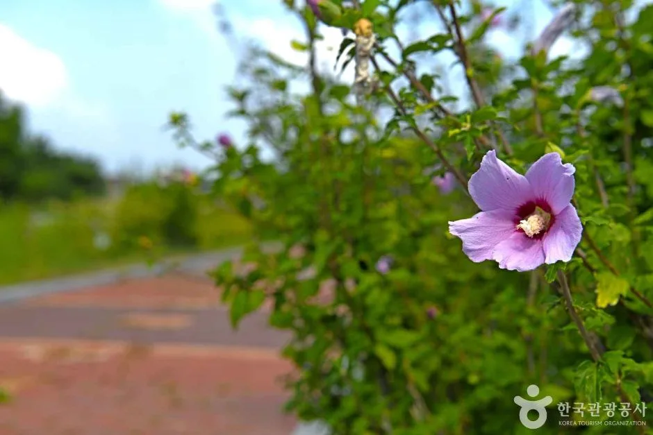 전북_군산_새만금무궁화공원 (7)