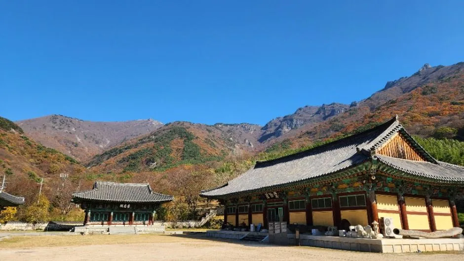 밀양_표충사호국박물관 (8)