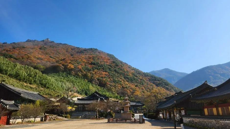 밀양_표충사호국박물관 (9)