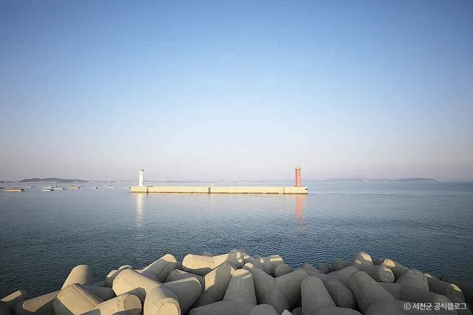 서천_마량포구 (7)