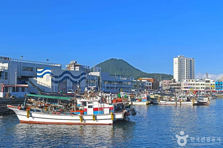 녹동항 (7)