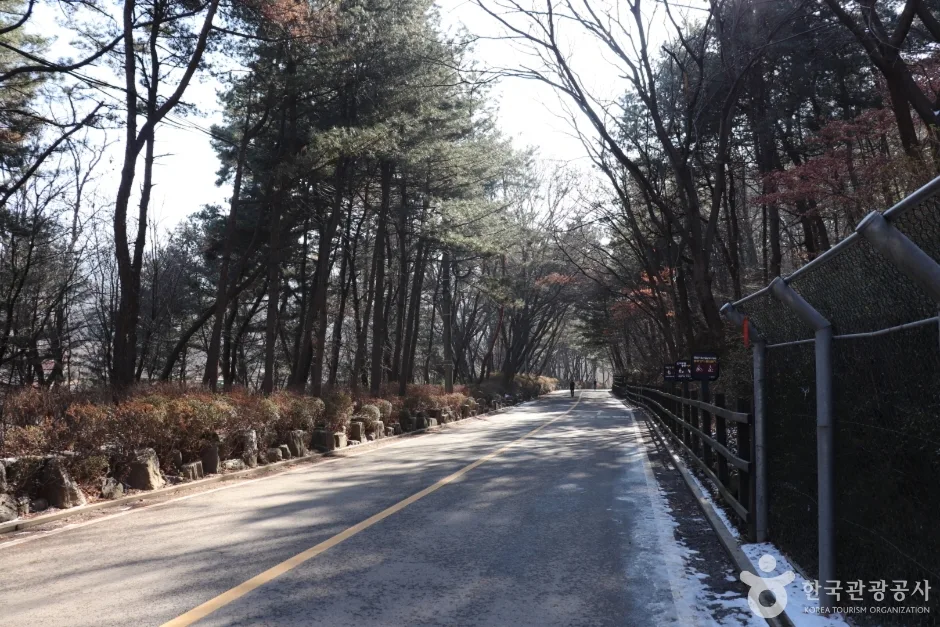 관악산자연공원_9