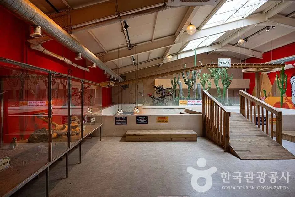 테마파크 쥬쥬 (10)