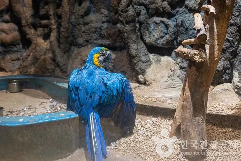 테마파크 쥬쥬 (14)