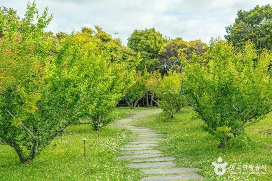 서귀포_서귀포칠십리시공원 (8).jpg