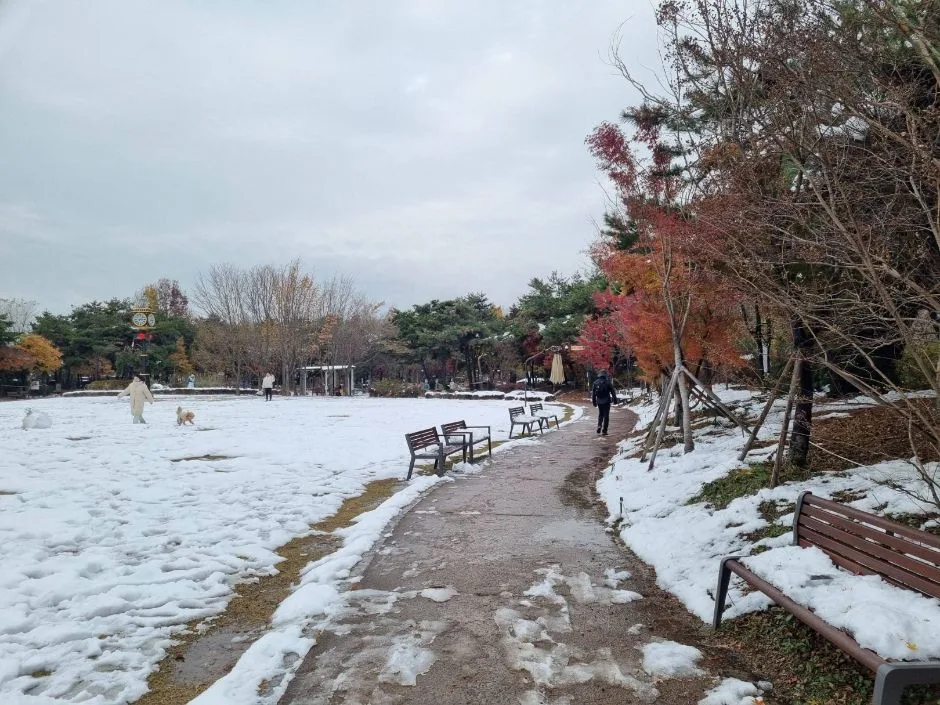 몽마르뜨공원_내부