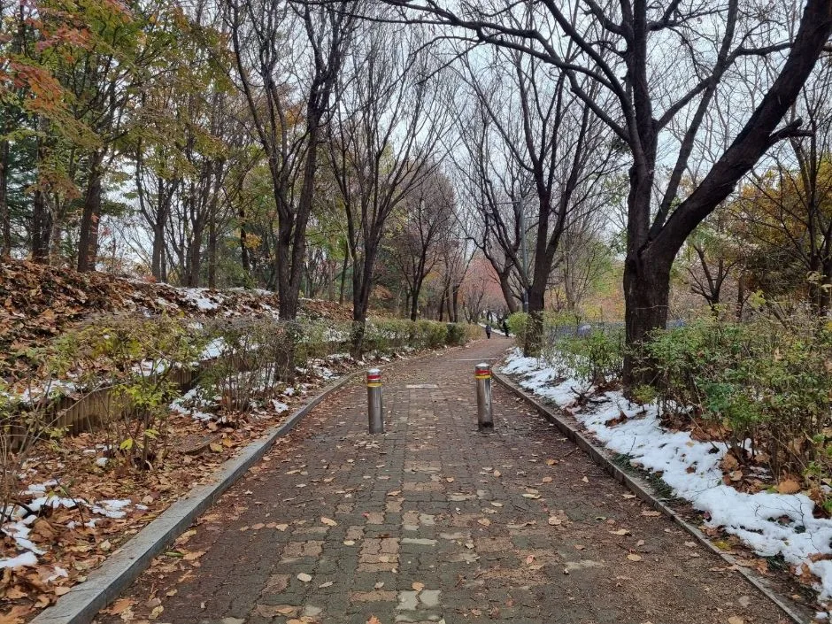 몽마르뜨공원 입구에서 공원까지 도착하는 길_2