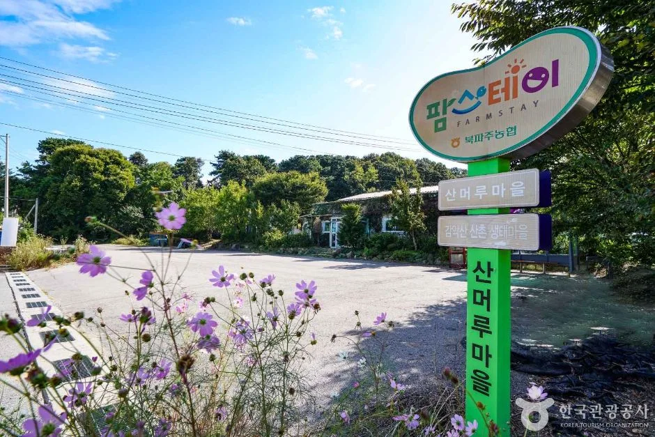 경기_파주_파주 산머루마을 (4)