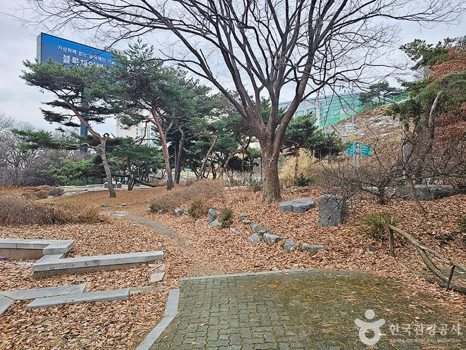 청담도로공원 (2)