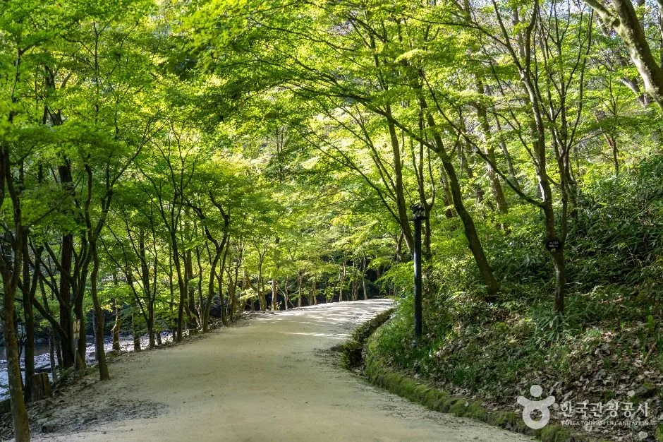 전북_순창_강천산 군립공원_외부_01.jpg
