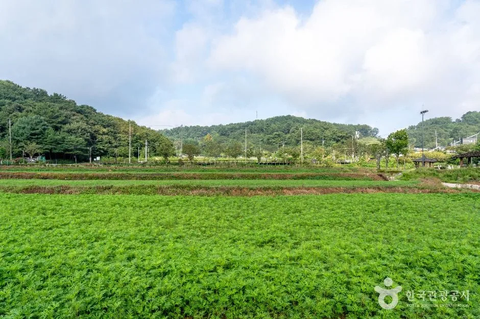 대덕_장동만남공원 (4)