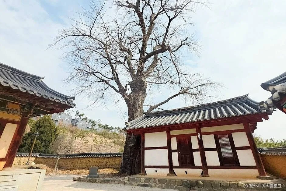 경산_하양향교 (3)