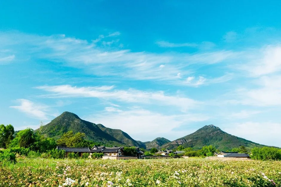 의성_금성산·비봉산(의성) (5)