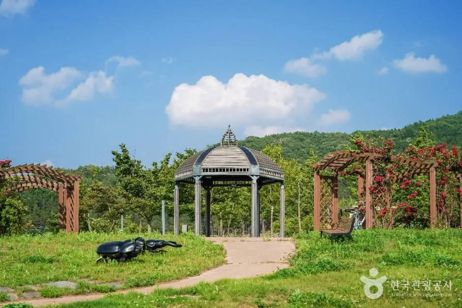 군위_위천수변테마공원 (4)
